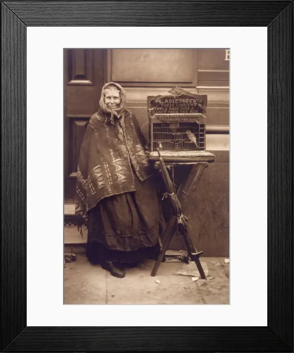 Framed Print : Fortune Teller & Bird Framed Print : Fortune Teller & Bird