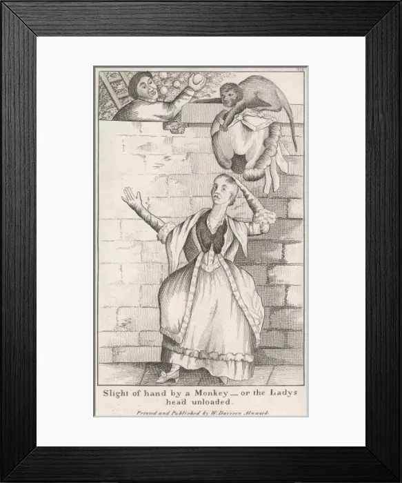 Framed Print : Toilet / Hair / False Hair Framed Print : Toilet / Hair / False Hair