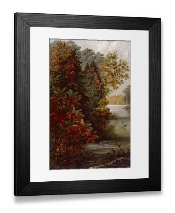Framed Print : Autumnal Trees by Erie Framed Print : Autumnal Trees by Erie