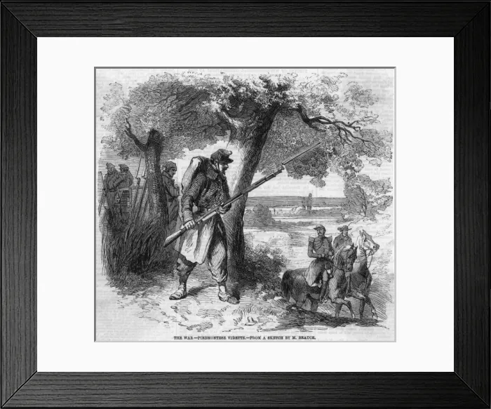 Framed Print : Piedmontese Vedette Framed Print : Piedmontese Vedette