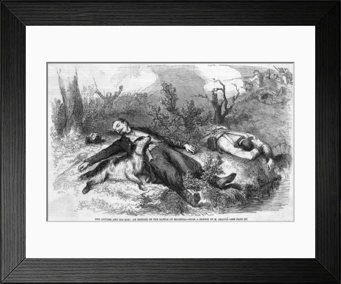 Framed Print : Battle of Magenta - 3 Framed Print : Battle of Magenta - 3