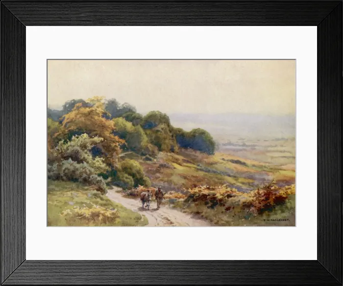 Framed Print : New Forest / Burley Moor Framed Print : New Forest / Burley Moor