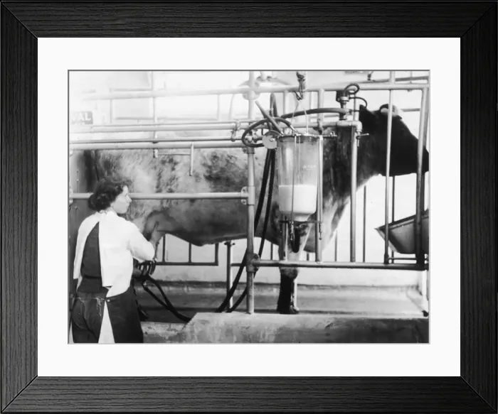 Framed Print : Milking Machine Framed Print : Milking Machine