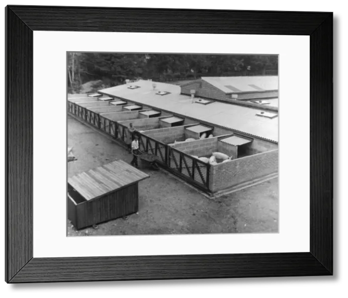 Framed Print : Piggery, Norwich Framed Print : Piggery, Norwich