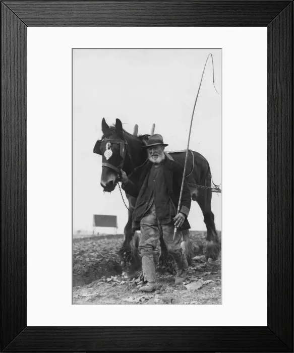 Framed Print : Champion Ploughman Framed Print : Champion Ploughman