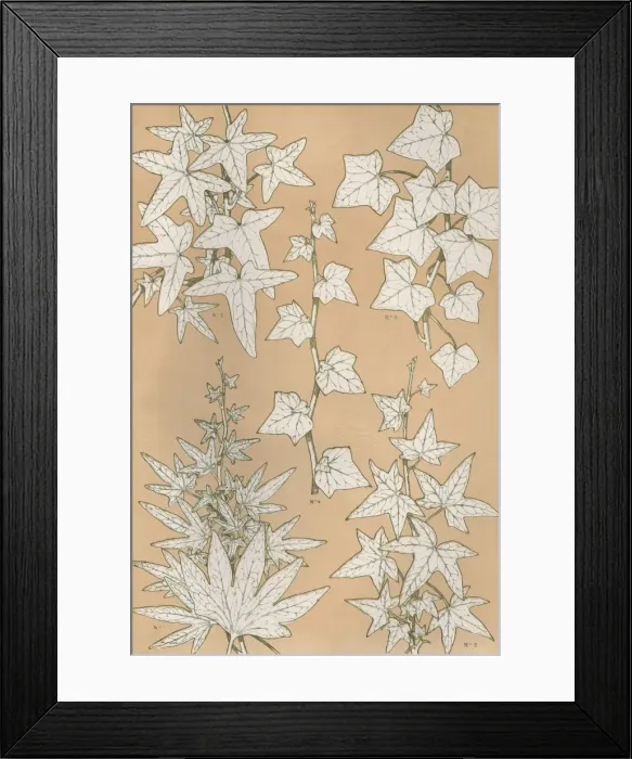Framed Print : Owen Jones Flowers 93 Framed Print : Owen Jones Flowers 93