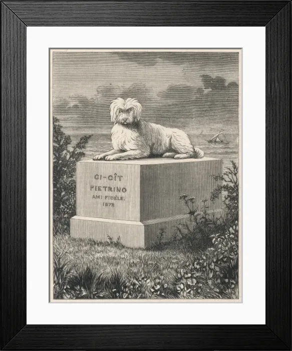 Framed Print : Famous Dog Pietrino Framed Print : Famous Dog Pietrino