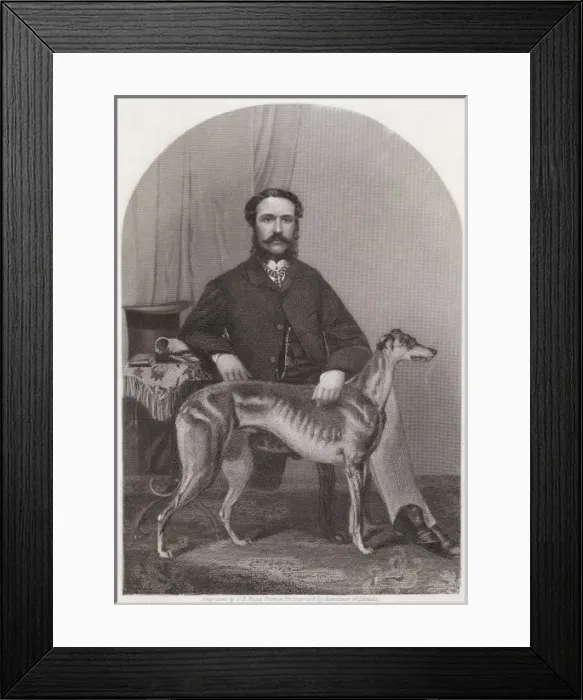 Framed Print : Famous Dog Sunbeam Framed Print : Famous Dog Sunbeam