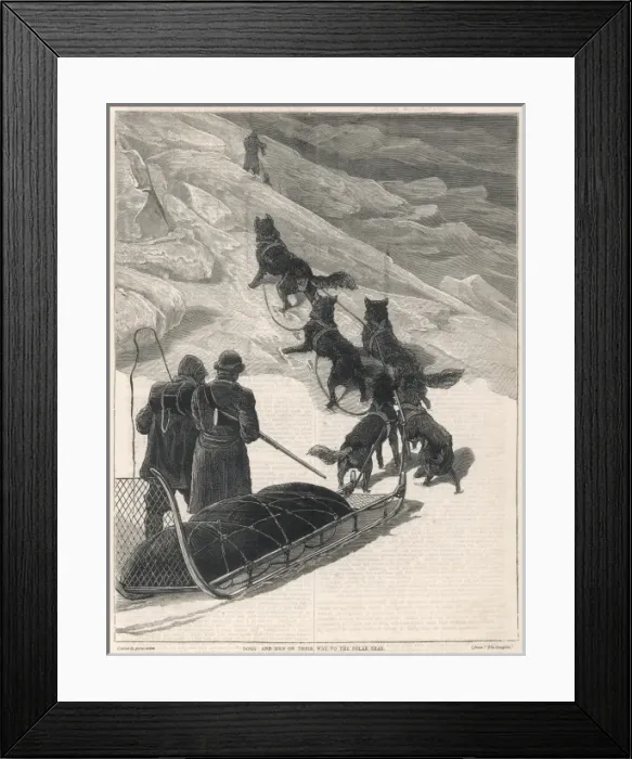 Framed Print : Dogs to North Pole Framed Print : Dogs to North Pole