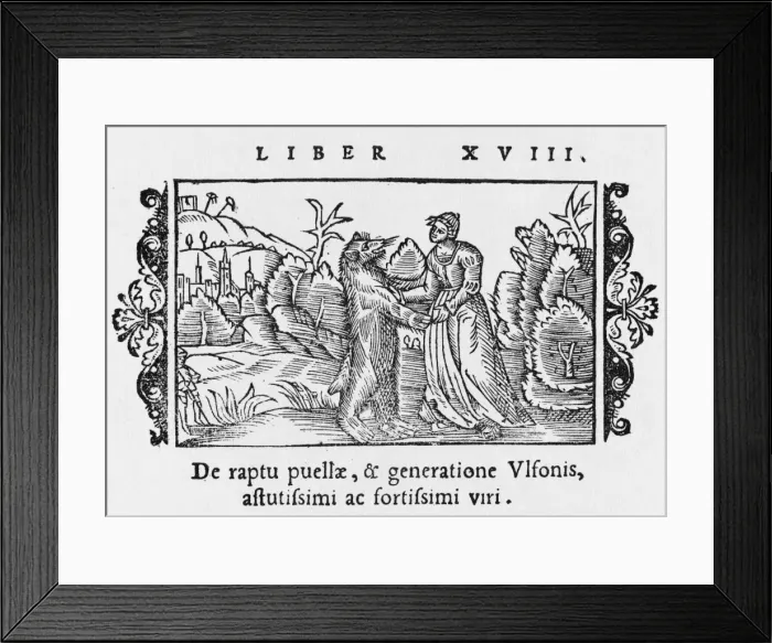 Framed Print : Abducted by a Bear Framed Print : Abducted by a Bear