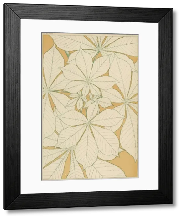 Framed Print : Owen Jones Flowers 91 Framed Print : Owen Jones Flowers 91