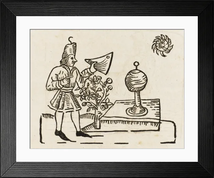 Framed Print : Astronomy / Caxton 1481 Framed Print : Astronomy / Caxton 1481
