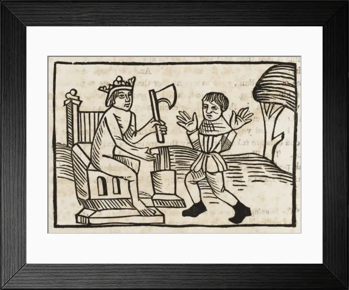 Framed Print : Aesop / Carpenter Framed Print : Aesop / Carpenter