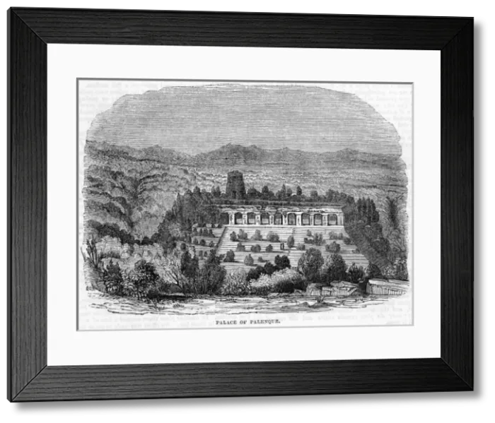 Framed Print : Mexico Palenque Framed Print : Mexico Palenque