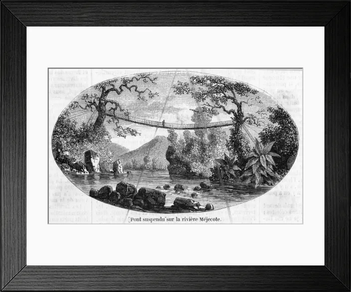 Framed Print : Honduras Mejocote R Framed Print : Honduras Mejocote R