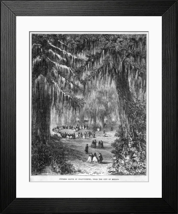 Framed Print : Mexico Chapultepec Framed Print : Mexico Chapultepec