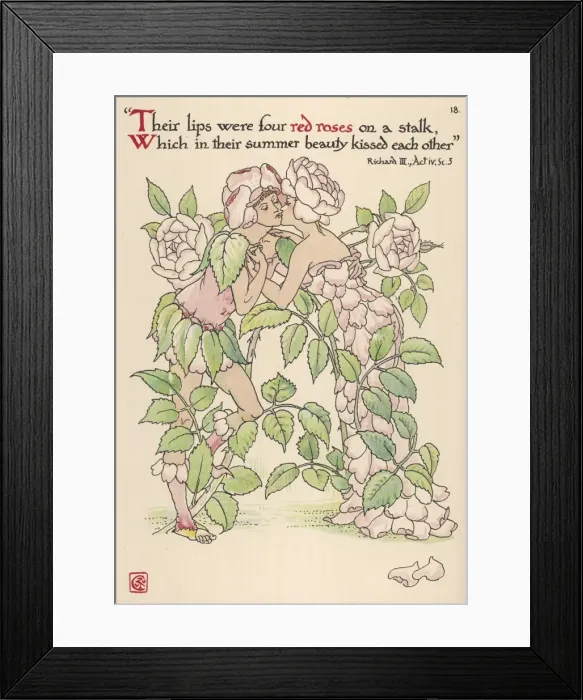 Framed Print : Plants / Rosa Framed Print : Plants / Rosa
