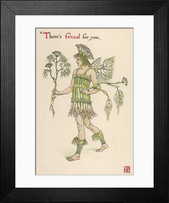 Framed Print : Foeniculum Vulgaris Framed Print : Foeniculum Vulgaris