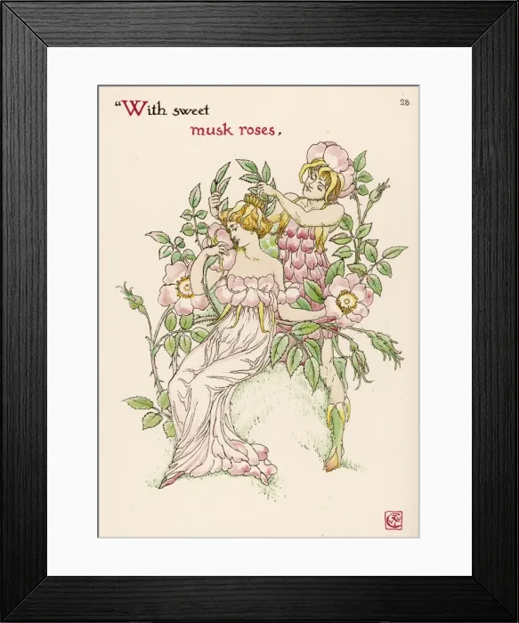 Framed Print : Plants / Rosa Moschata Framed Print : Plants / Rosa Moschata