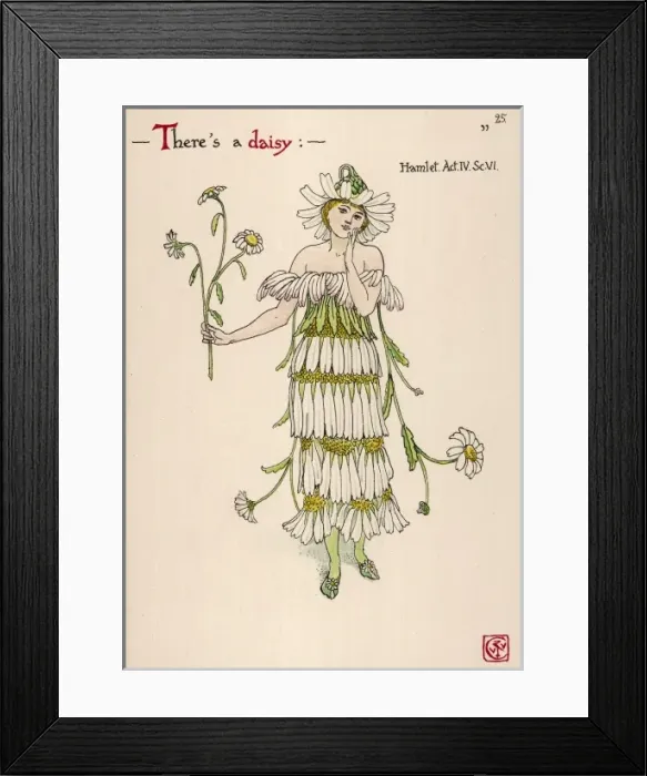 Framed Print : Plants / Bellis Perennis Framed Print : Plants / Bellis Perennis