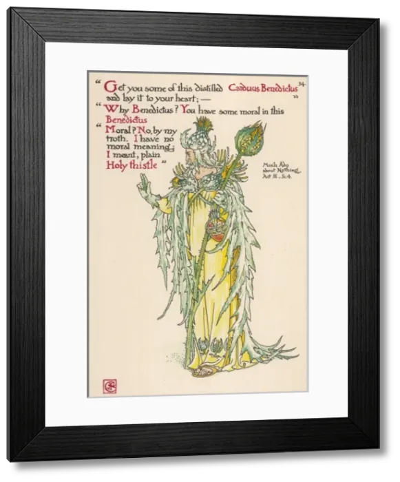 Framed Print : Plants / Cnicus Benedictus Framed Print : Plants / Cnicus Benedictus