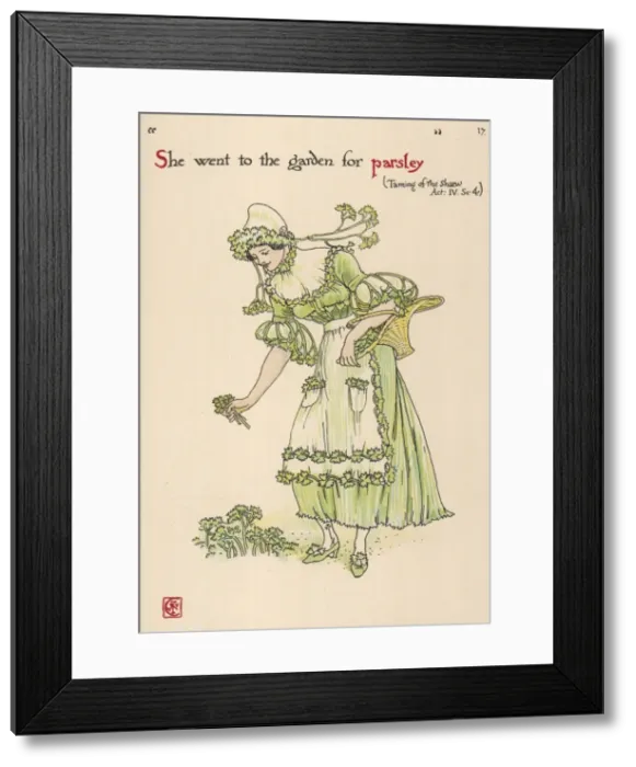 Framed Print : Petroselinum Crispum Framed Print : Petroselinum Crispum