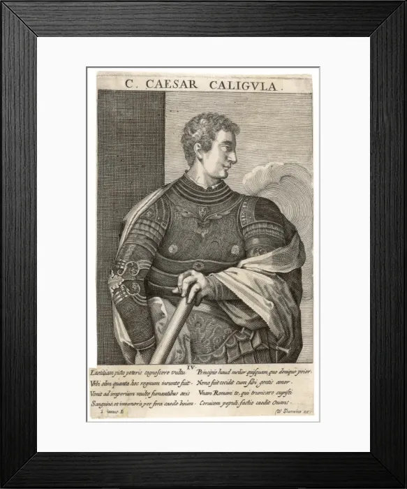 Framed Print : Caligula / Sherwine Framed Print : Caligula / Sherwine