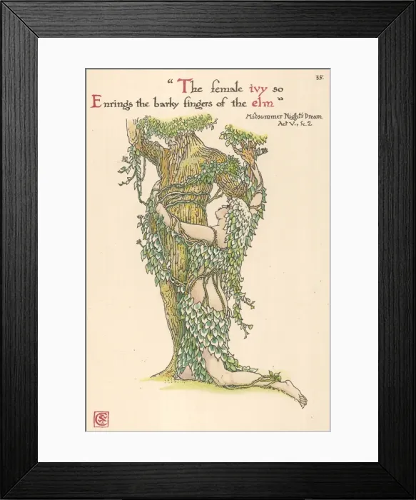 Framed Print : Plants / Hedera Helix Framed Print : Plants / Hedera Helix