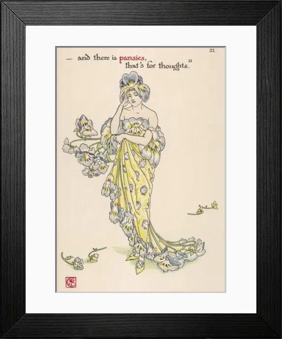 Framed Print : Plants / Viola Tricolor Framed Print : Plants / Viola Tricolor