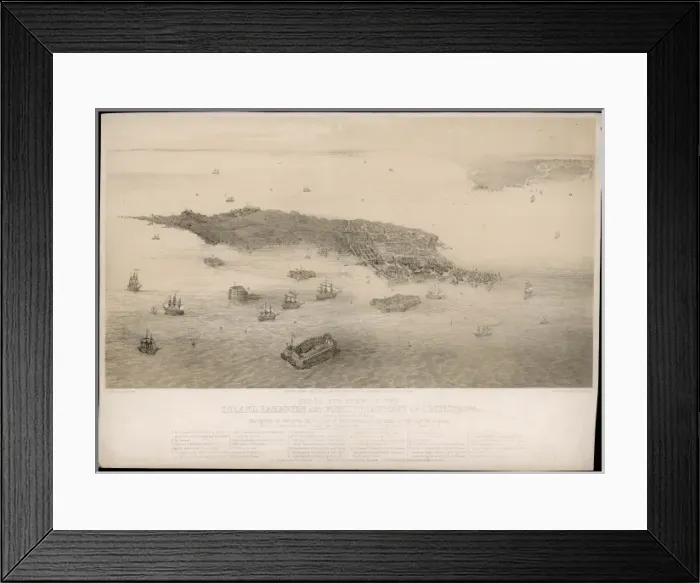 Framed Print : Kronstadt Birds Eye Framed Print : Kronstadt Birds Eye