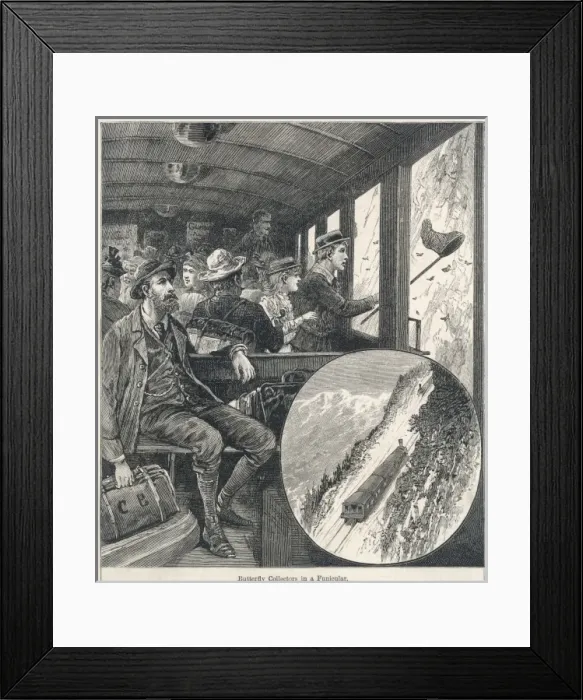 Framed Print : Funicular Butterflies Framed Print : Funicular Butterflies