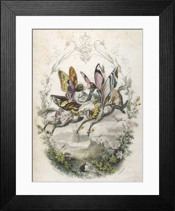 Framed Print : Lepidoptera Ride, Kiss Framed Print : Lepidoptera Ride, Kiss
