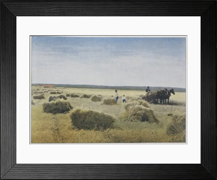Framed Print : Reaping, Canada Framed Print : Reaping, Canada