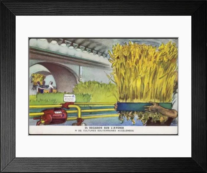 Framed Print : Underground Harvesting Framed Print : Underground Harvesting