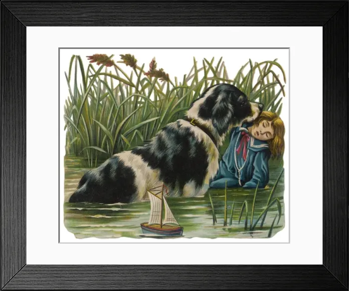 Framed Print : Dog Saves Boy Framed Print : Dog Saves Boy