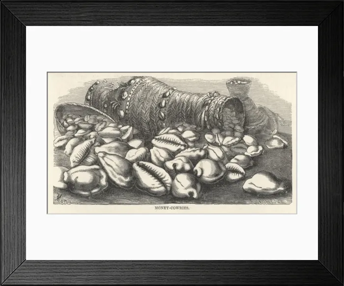Framed Print : Pacific Currency