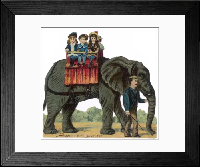Framed Print : Riding Elephant - Scrap Framed Print : Riding Elephant - Scrap