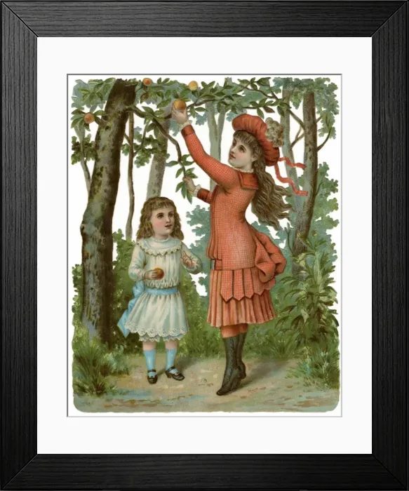 Framed Print : Girls Picking Apples Framed Print : Girls Picking Apples