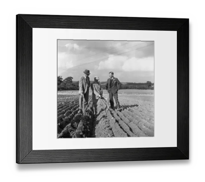 Framed Print : Ploughing Contest 1950S Framed Print : Ploughing Contest 1950S