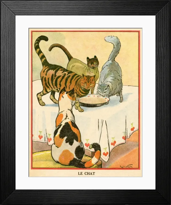 Framed Print : Three Cats Drink Milk Framed Print : Three Cats Drink Milk