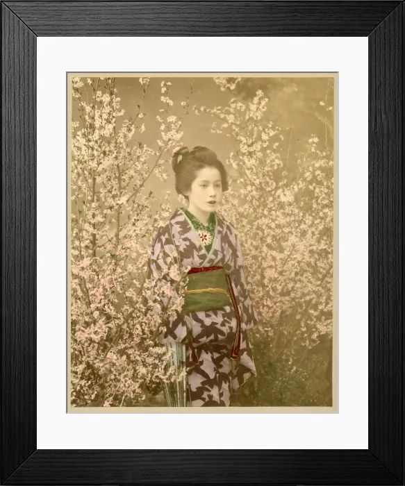 Framed Print : Japanese girl next to cherry blossom tree Framed Print : Japanese girl next to cherry blossom tree