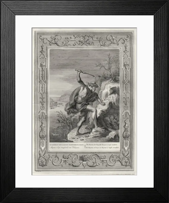 Framed Print : Alcyone and Ceyx Framed Print : Alcyone and Ceyx