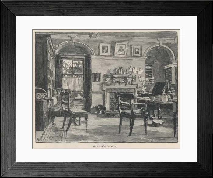 Framed Print : Darwin / Downe / Study Framed Print : Darwin / Downe / Study