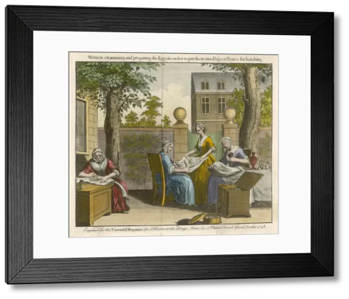 Framed Print : Silk Processing Framed Print : Silk Processing