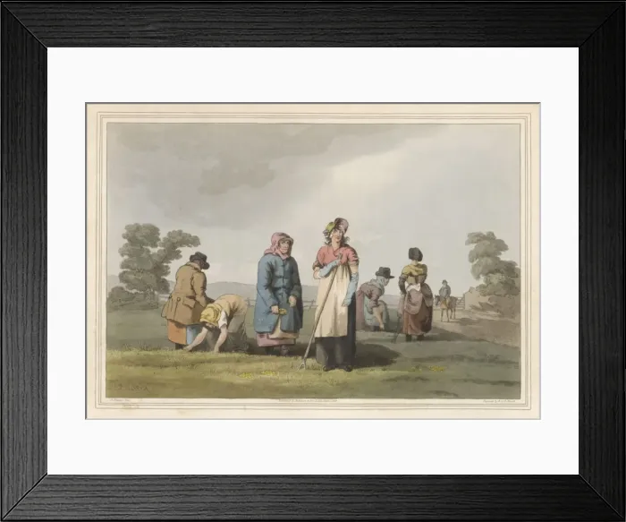 Framed Print : Lowkers Amid the Corn Framed Print : Lowkers Amid the Corn