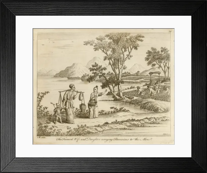 Framed Print : Rice in China - 2 Framed Print : Rice in China - 2