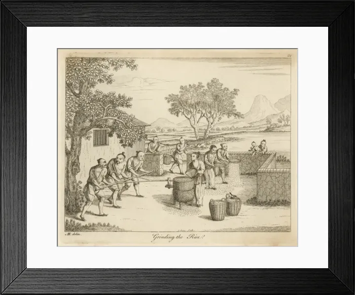 Framed Print : Rice in China - 10 Framed Print : Rice in China - 10