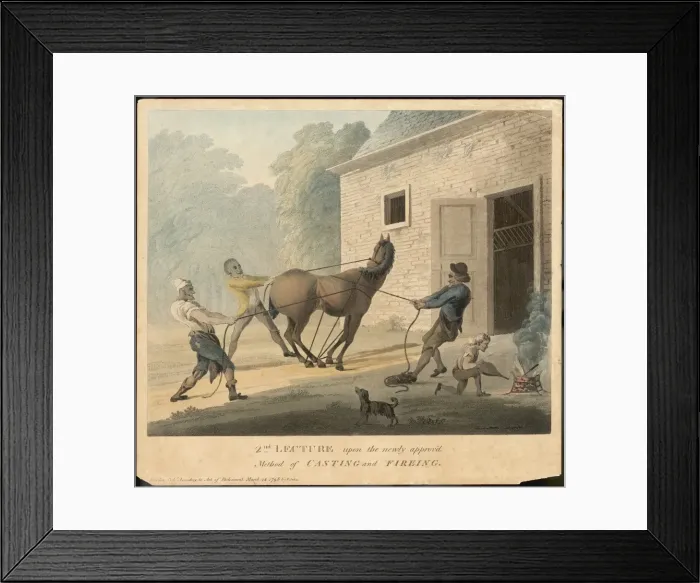 Framed Print : Casting / Firing a Horse Framed Print : Casting / Firing a Horse