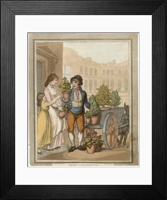 Framed Print : Buying a Plant Framed Print : Buying a Plant