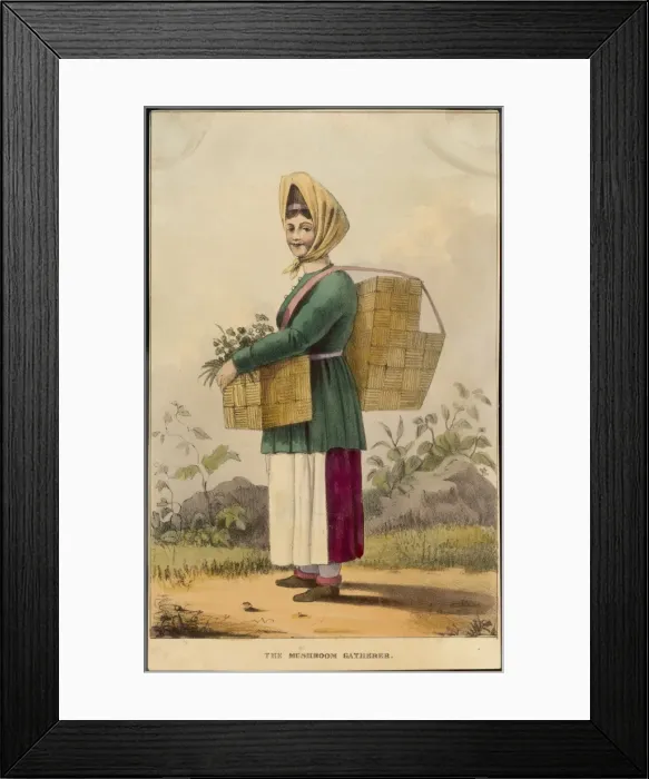 Framed Print : Mushroom Gatherer Framed Print : Mushroom Gatherer